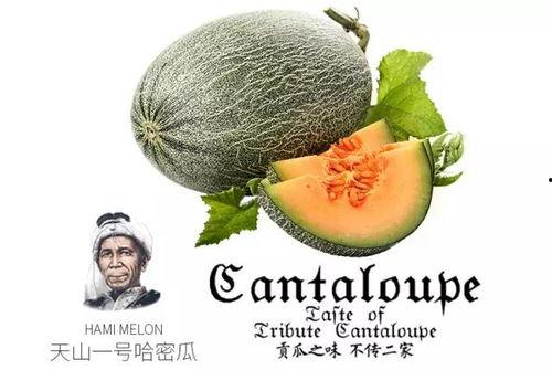 吃瓜号小小陈,带你走进娱乐圈的幕后故事