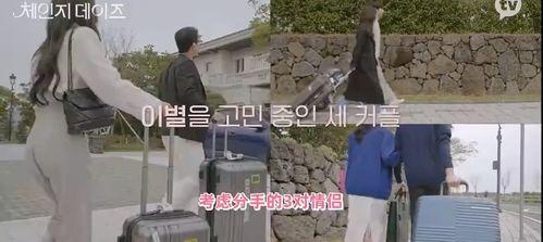 韩国综艺吃瓜现场,揭秘明星幕后故事与真实情感