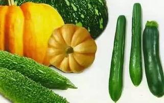 变瓜怎么吃,变瓜多味食法大盘点